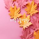 활기찬동물병원 이미지