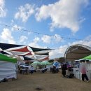 강진-17 | 강진 축제 특산물 향토 요리경연대회 2025 향, 강진을 맛보다