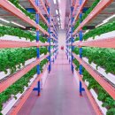 세계농장 이미지