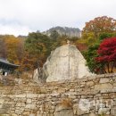 정이한 단비 및 비각 | 월악산 신륵사-영봉-마애불-덕주사