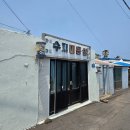 영어로 떠나는 동화여행 | 연차 쓰고 제주 동쪽 혼자 여행 | 청굴물, 김녕식당, 비자림, 송당 동화마을(몽생이샌드, 스타벅스), 온...