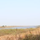 성덕우체국 이미지