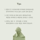 인형의 거리(용) 이미지