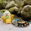 신진식당 - 거제시 | 신진식당