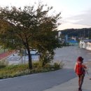 파평체육공원 축구장 이미지