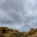 순천장의사