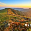 믿음 - 세종특별자치시 보통1길 124 | 믿음