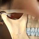 기성의료기 이미지