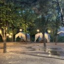 정원 퍼피 하우스 이미지