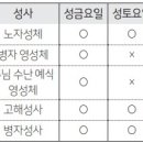 [사순부활] 기도하는 교회: 성금요일과 성토요일에는 고해성사를 볼 수 없나요? 이미지