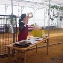 송탄윤서어린이집 이미지