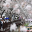 진해구 ⓒ-26 이미지