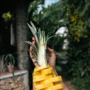 블리비의원 이미지