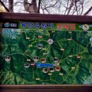 봉암동164 이미지