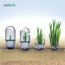 미션세상 이미지