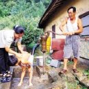 그해여름 이미지