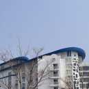 스탠다드플레이 | [아기랑여행] 강원도 쏠비치 삼척 아기랑 스위트 스탠다드 온돌룸, 오션플레이 후기