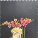 사계절정원 네이버블로그