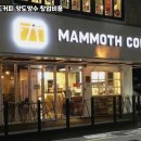 매머드커피강남 - 강남구 선릉로129길 11 | 매머드커피강남