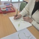 보태니컬 아트 이미지