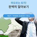땅대박공인중개사사무소 이미지
