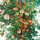 영웅태권도장 이미지