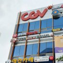 도그파파 이미지