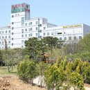 큰나무요양병원 이미지