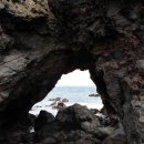 종달리수국길 이미지