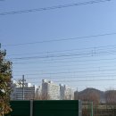 삼형제농장 | 울산 삼형제농장 울산애견동반 단독사용 프라이빗 내돈내산후기