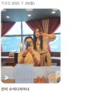 진이헤어샵 - 창원시 마산합포구 장군천로 21-7 | 진이헤어샵