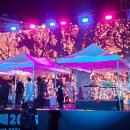 서울거리예술축제 2025 [군문열림-The Rite of Now] 공연 (2/2) 이미지