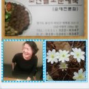 조선팔도순대국