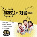 위즈캐슬 이미지