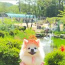 역골농장 이미지