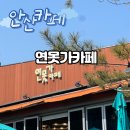 신안산대학로1R | 안산 초지동 카페 <연못가카페> 넓은 정원과 산책길이 있는 카페 솔직후기
