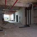 1004청과 이미지