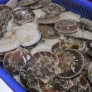선부떡볶이 네이버블로그