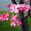(주)호연지기 티스토리