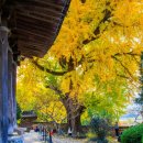 (주) 암새들 이미지