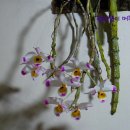 대포초등학교 이미지