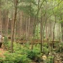 반딧불 자연휴양림 이미지