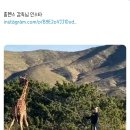 빅히트(방탄소년단)는 왜 뮤직비디오 촬영에 실제 동물을 사용했을까? 이미지