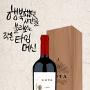 로타(LOTA) 이미지