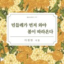 포르테피아노사