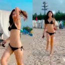 채은정 카카오 검색결과