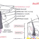 피부이야기유(YOU) 이미지