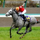 통산1목장 이미지