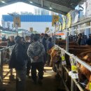 선산대로10-7 이미지