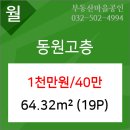 새마을동물병원 이미지